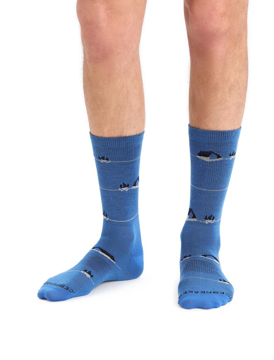 Chaussettes Icebreaker Merino Lifestyle Ultralight Crew Backcountry Camp Homme Bleu | FR 1009XYUF